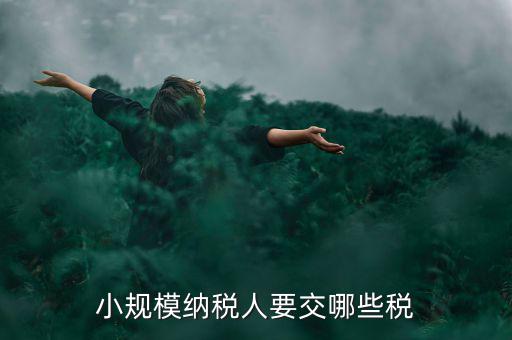 小規(guī)模納稅人報什么稅，小規(guī)模納稅人要交哪些稅