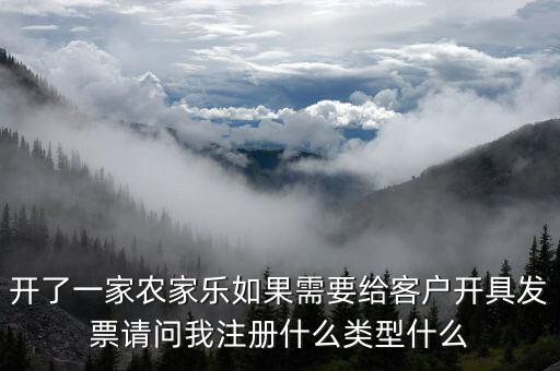 我要是以開普票為主 注冊什么性質的公司好，開了一家農(nóng)家樂如果需要給客戶開具發(fā)票請問我注冊什么類型什么