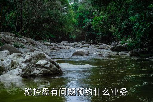 什么是稅務(wù)預(yù)約服務(wù)器，稅控盤有問題預(yù)約什么業(yè)務(wù)