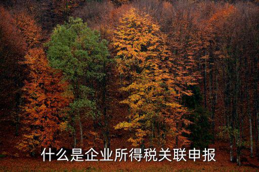 稅務(wù)關(guān)聯(lián)表是什么意思，所得稅中關(guān)聯(lián)關(guān)系是什么意思