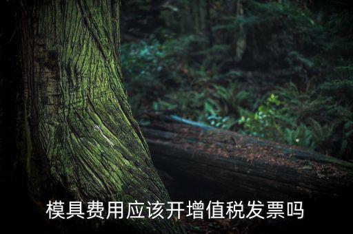 模具設(shè)計開發(fā)費開什么發(fā)票，模具開發(fā)及制造費一般開什么發(fā)票明細