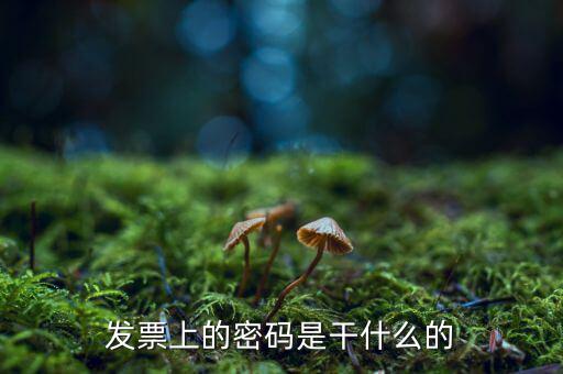 湖南汽車發(fā)票密碼是什么意思，發(fā)票上的密碼是做什么用的啊
