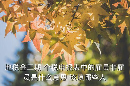 雇員納稅人是什么意思，地稅金三期 個(gè)稅申報(bào)表中的雇員非雇員是什么意思 該填哪些人