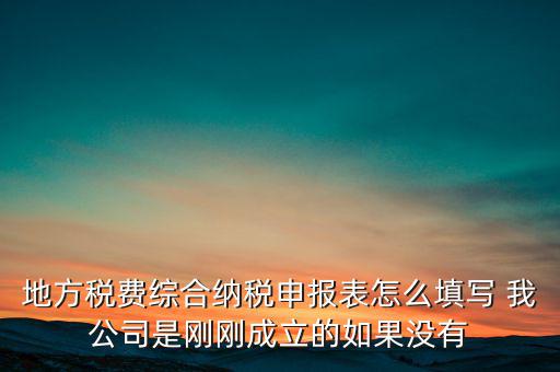 地稅不開票需填什么表，地方稅費綜合納稅申報表怎么填寫 我公司是剛剛成立的如果沒有