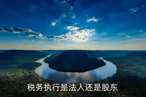 稅收政策執(zhí)行是干什么的，稅務(wù)執(zhí)行是法人還是股東