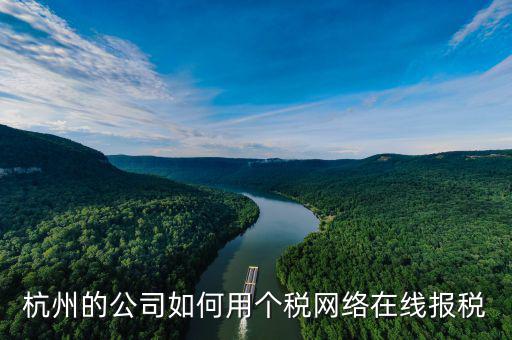報(bào)個(gè)稅的小人是什么軟件，杭州的公司如何用個(gè)稅網(wǎng)絡(luò)在線報(bào)稅