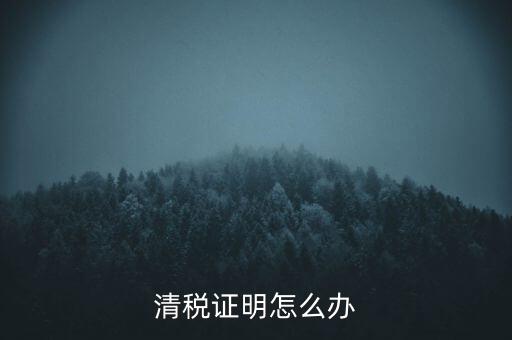 稅務(wù)無紙化辦公要什么材料，清稅證明怎么辦
