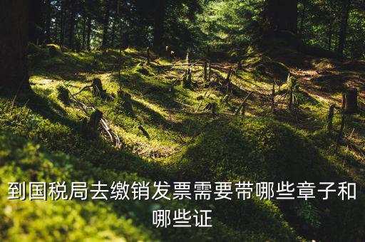 繳銷出口商品統(tǒng)一發(fā)票要蓋什么章，到國稅局去繳銷發(fā)票需要帶哪些章子和哪些證