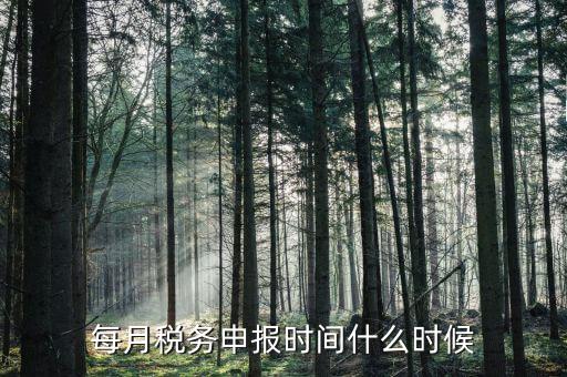 什么時候教育稅附加申報，每月稅務申報時間什么時候