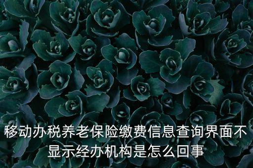 移動(dòng)辦稅養(yǎng)老保險(xiǎn)繳費(fèi)信息查詢(xún)界面不顯示經(jīng)辦機(jī)構(gòu)是怎么回事