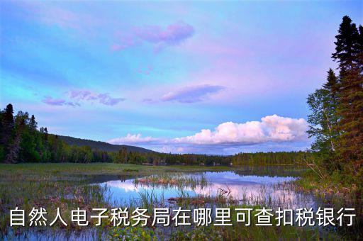 電子稅務局銀行端查詢什么，天津電子稅務局如何查詢銀行賬戶備案信息