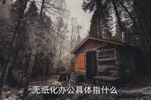 國稅無紙化辦公是什么意思，無紙化辦公具體指什么