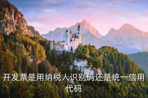 發(fā)票上的信用代碼是什么，現(xiàn)在開發(fā)票要的社會信用代碼是誰的代碼