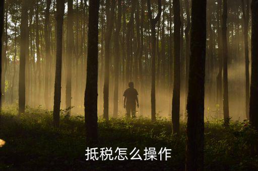 辦理抵稅流程是什么，電子稅務(wù)局退抵稅流程