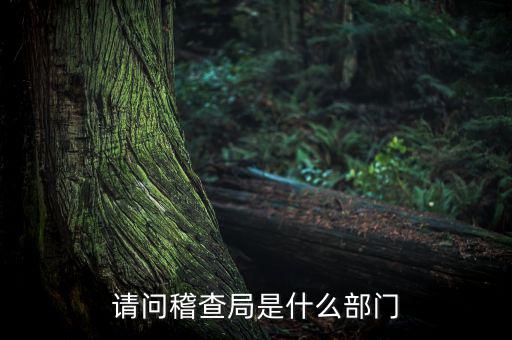 稅務稽查局有什么權利，稅務稽查局是否具有行政處罰權