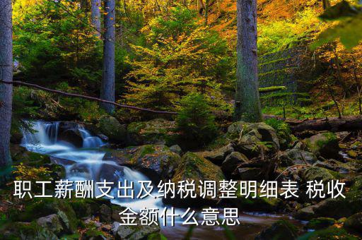 什么是納稅調(diào)整金額，職工薪酬支出及納稅調(diào)整明細(xì)表 稅收金額什么意思
