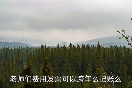 什么發(fā)票可以跨年入賬，增值稅專用發(fā)票可以跨年做賬嗎