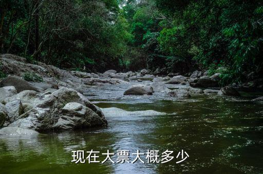 車(chē)輛大票是額多少什么，現(xiàn)在大票大概多少