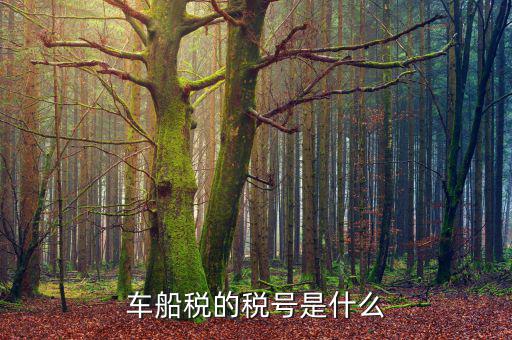車船稅打印碼什么意思，車船稅是什么