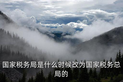 稅務(wù)機(jī)構(gòu)改革是什么，稅收征管體制改革內(nèi)容