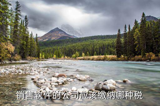 軟件營銷應(yīng)該上什么稅，銷售軟件交什么稅