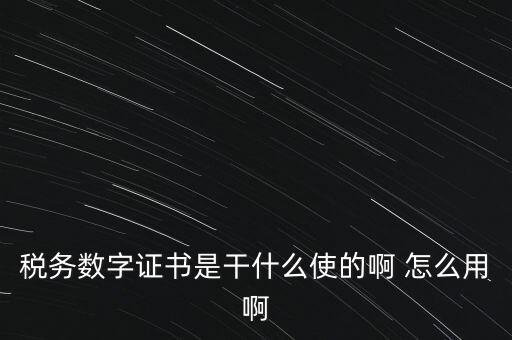 國稅ca數(shù)字證書是什么，稅務數(shù)字證書是干什么使的啊 怎么用啊