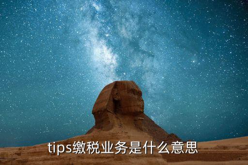 地稅tips繳款是什么意思，tips扣稅是什么意思