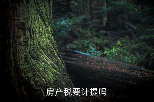 房產(chǎn)稅列入什么費(fèi)用，房產(chǎn)稅要計(jì)提嗎