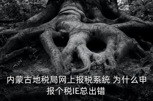 為什么內(nèi)蒙古國地稅網(wǎng)進(jìn)不去，windows7內(nèi)蒙古地稅報稅系統(tǒng)顯示無法顯示該網(wǎng)頁