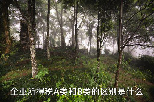 所得稅b類申報表是什么，企業(yè)所得稅申報表A與B有什么區(qū)別