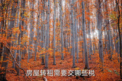 轉(zhuǎn)租房屋需要交什么稅，房屋轉(zhuǎn)租需要交哪些稅