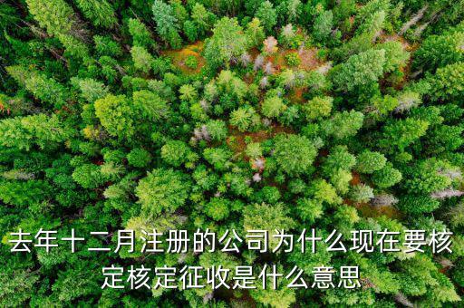 為什么核定征收收據(jù)，查賬征收為什么會轉(zhuǎn)為核定征收