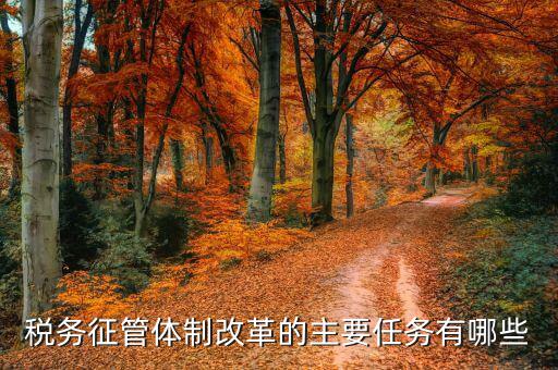 征管體制改革黨員干部干什么，作為一名黨員干部做什么 怎么做