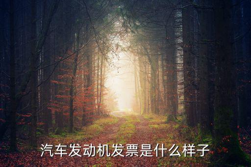 國稅出的機(jī)動車發(fā)票是什么樣的，汽車發(fā)動機(jī)發(fā)票是什么樣子