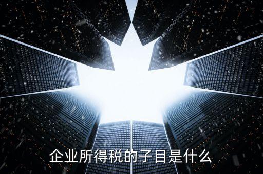 企業(yè)所得稅征收品目是什么，征收品目是什么