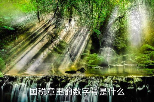發(fā)票專用章中間的數(shù)字是什么，國稅章里的數(shù)字號是什么