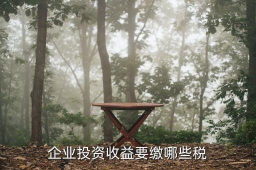 企業(yè)收到對外投資收益需交什么稅，投資收益要交些什么稅