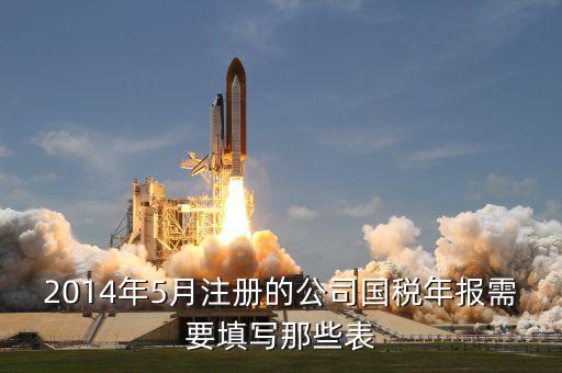 國稅年度申報填什么表，國稅年度報表怎么填啊