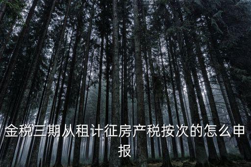金稅三期從租計(jì)征房產(chǎn)稅按次的怎么申報