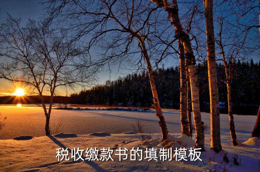 稅收繳款書字軌是什么，什么是文書字軌