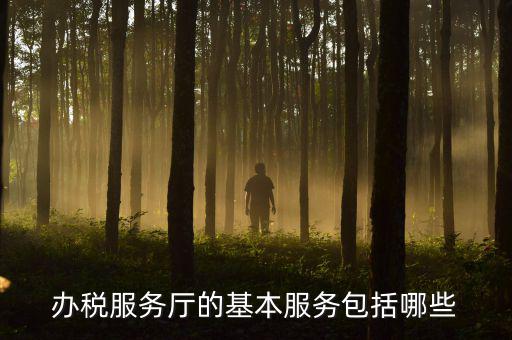 一體化辦稅服務(wù)廳是什么，辦稅服務(wù)廳的基本服務(wù)包括哪些