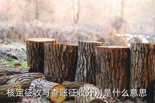 什么企業(yè)實行核定征收，企業(yè)所得稅可以核定征收嗎
