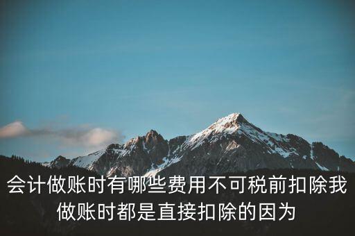 什么不可以稅前扣除嗎，納稅人哪些支出不能在企業(yè)所得稅前扣除