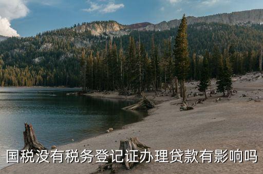 國稅未實名會影響什么，稅務未實名認證對負責人有影響么