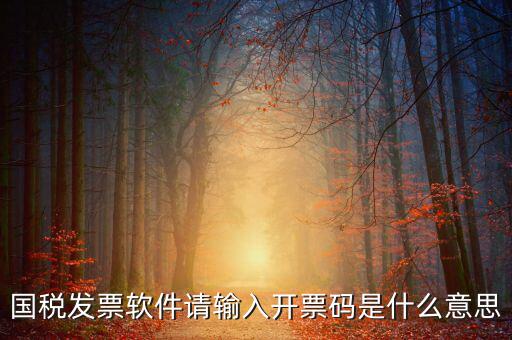 開票二維碼是什么軟件，天津國稅通用機(jī)打發(fā)票二維碼包含的內(nèi)容解碼軟件