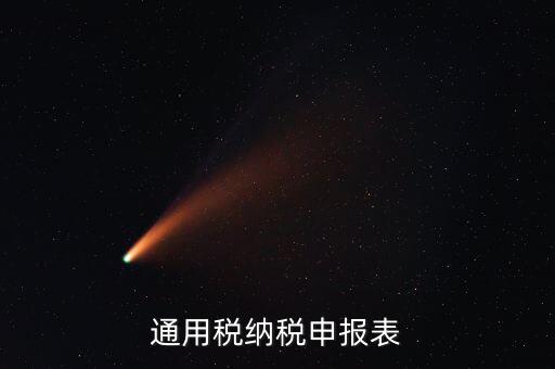 通用申報表稅什么意思，通用稅納稅申報表