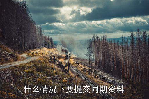 本年度同期資料是什么意思，什么情況下要提交同期資料
