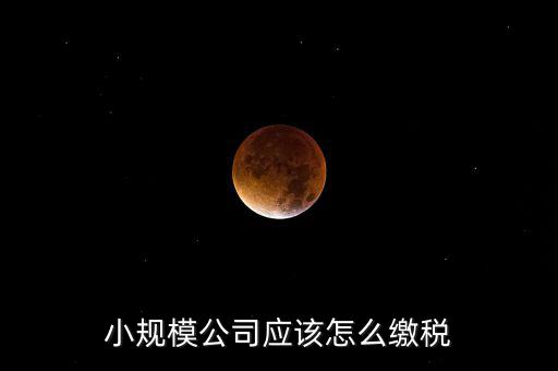 小規(guī)模公司按什么交稅嗎，一個(gè)小規(guī)模納稅公司國稅和地稅應(yīng)該都分別交什么稅