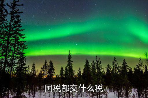 國(guó)稅稅費(fèi)是什么，國(guó)稅都交什么稅
