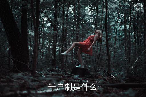 全國(guó)千戶(hù)集團(tuán)是什么，誰(shuí)知道中國(guó)最大的苗寨叫什么